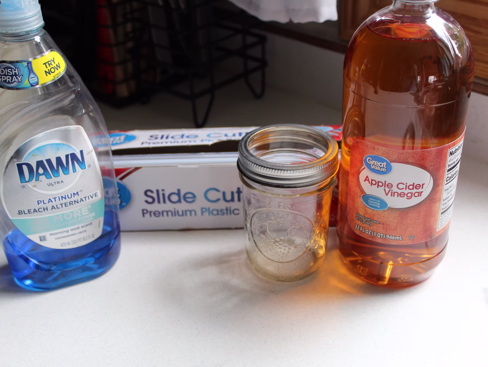 Fruit Fly Trap